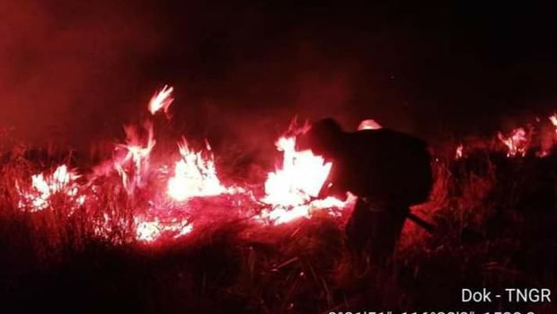 Kecepatan angin yang relatif kencang dan kondisi vegetasi yang mudah terbakar mengakibatkan api dengan cepat meluas dan menyulitkan proses pemadaman.