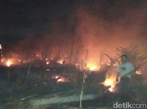 Hutan Pinus di Bondowoso Terbakar, Warga Cegah Api ke Permukiman