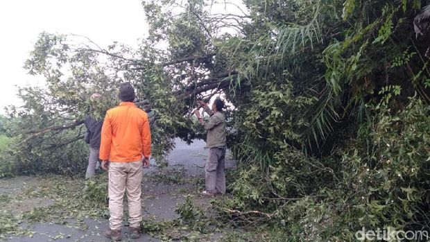 Begini Dampak Angin Kencang Campur Debu di Dataran Tinggi Dieng