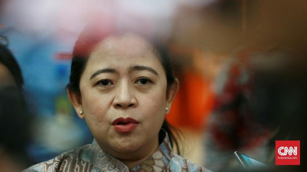 Ketua DPR, yang juga politikus PDIP, Puan Maharani turut mengkritik PPATK yang mengungkap temuannya ke publik.