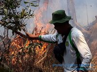 Rinjani dan Tambora Sedang Berduka