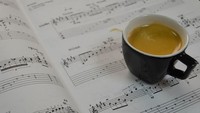 Foto: IstimewaMemainkan musik klasik, tahukah Anda jika itu dapat berpengaruh pada menu yang Anda pesan? Dengan memainkan musik klasik membuat Anda merasa kaya dan akhirnya memesan menu yang banyak.