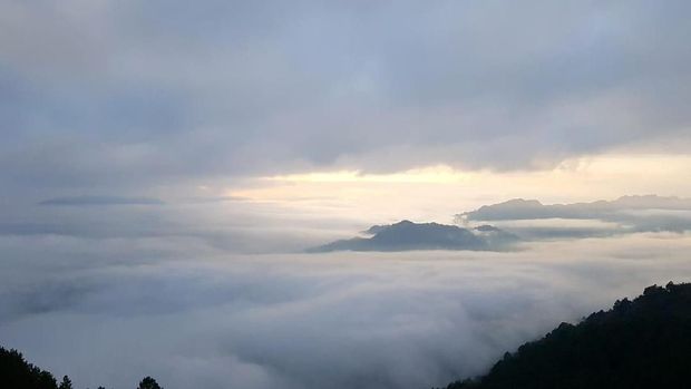 Ragam Wisata Budaya Toraja yang Bikin Wisatawan Terpincut