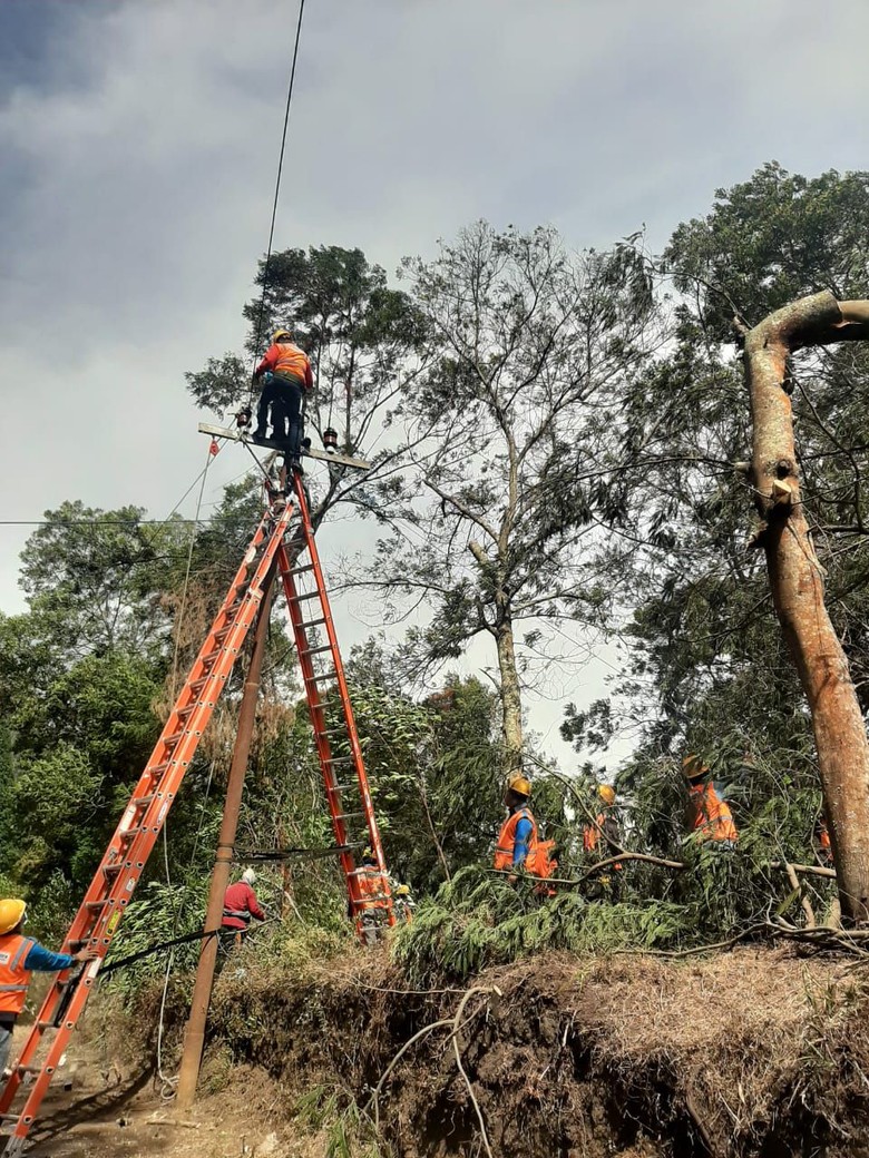 Angin Kencang di Batu, 1.015 Pelanggan PLN Alami Pemadaman Angin Kencang di Batu, 1.015 Pelanggan PLN Alami Pemadaman