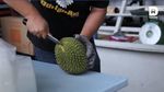 Nia Ramadhani, Selain Salak, Ini Cara Mengupas 13 Buah Indonesia