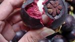 Nia Ramadhani, Selain Salak, Ini Cara Mengupas 13 Buah Indonesia