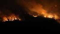 Kebakaran hutan di Gunung Merapi Ungup-ungup terlihat dari Gantasan, Taman Sari, Banyuwangi, Jawa Timur, Senin (21/10/2019). 