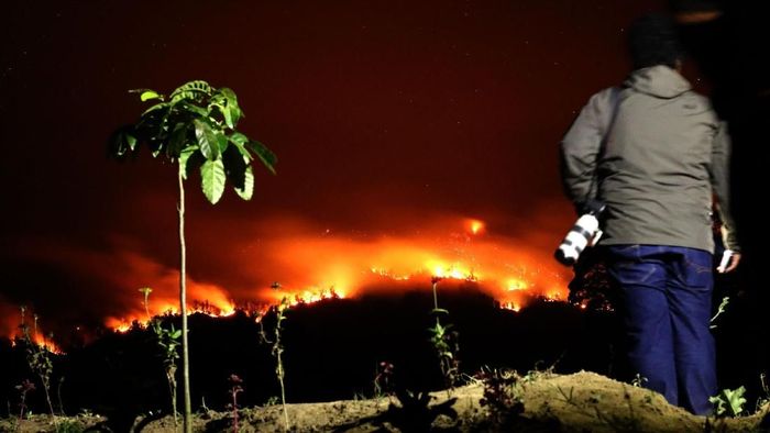 Foto: ANTARA FOTO/Budi Candra Setya Foto: ANTARA FOTO/Budi Candra Setya