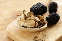 Chef Professional Tolak Memakai Minyak Truffle, Kenapa?