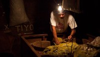 Selain itu Carlito memastikan bahwa telur-telurnya ini tetap hangat agar embrio telur bisa tumbuh. Setelah melalui proses inkubasi 11 hari, baru Carlito menjual telur-telurnya ini sebagai balut.  Foto: Istimewa