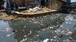 Jorok, Kali Krukut Menghitam dan Penuh Sampah