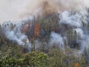 Hutan di Gunung Lompobattang dan Bawakaraeng Sulsel Terbakar