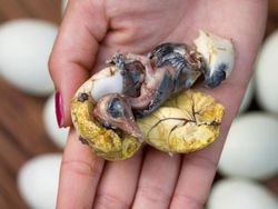 5 Makanan Eksotis yang Populer Ini Disebut Mirip Makanan Alien