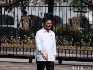 Merapat ke Istana, Syahrul Yasin Limpo: NasDem Totally Bersama Jokowi