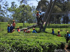 15 Tiang Roboh Diterpa Angin, Listrik di Pangalengan 2 Hari Mati