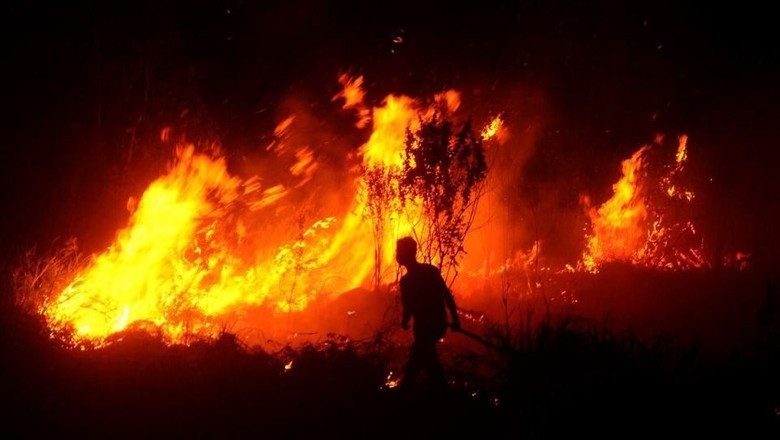Slamet Tewas Tertimpa Cabang Pohon Saat Padamkan Hutan di Ponorogo Slamet Tewas Tertimpa Cabang Pohon Saat Padamkan Hutan di Ponorogo
