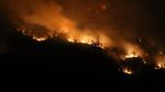 Penampakan Kobaran Api di Hutan Gunung Merapi Ungup-ungup