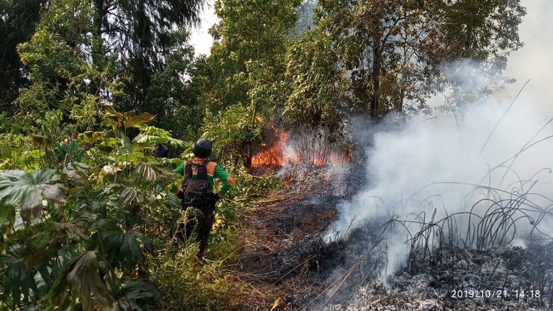 Tersangka Karhutla Jadi 362 Orang, 17 di Antaranya Korporasi Tersangka Karhutla Jadi 362 Orang, 17 di Antaranya Korporasi