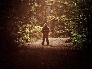 Ilmuwan Ini Berusaha Menguak Siapa Bigfooot Sebenarnya, Beruang atau Hominid?
