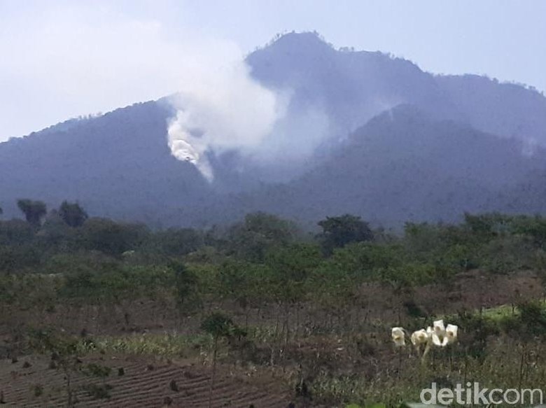 Ini Upaya BPBD Antisipasi Kebakaran Gunung Ijen Merambat ke Perkebunan Ini Upaya BPBD Antisipasi Kebakaran Gunung Ijen Merambat ke Perkebunan