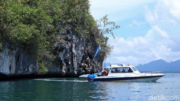 Objek wisata unik ini bisa ditempuh sekitar satu setengah jam perjalanan laut via speedboat dari Pelabuhan Waisai (Randy/detikcom)  