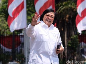Akhir Cerita KLHK dengan WWF Indonesia