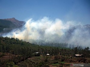 Desa Wisata Bissoloro Gowa, Destinasi Alam Hutan Pinus-Camping Area Terbaru