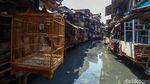 Jorok, Kali Krukut Menghitam dan Penuh Sampah