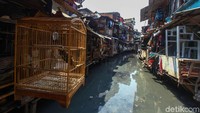 Kurangnya kesadaran masyarakat dalam membuang sampah pada tempatnya membuat Kali Krukut kembali dipenuhi sampah.