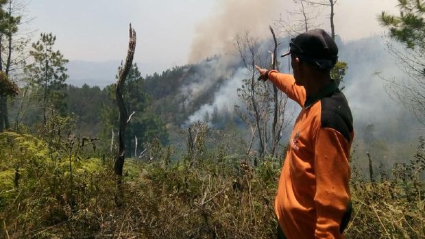 Hutan di Gunung Lompobattang dan Bawakaraeng Sulsel Terbakar