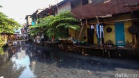 Permasalahan sampah di kali Krukut nampak tak kunjung usai.