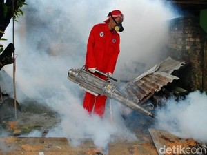 8 Anak Blitar Meninggal Terjangkit Demam Berdarah