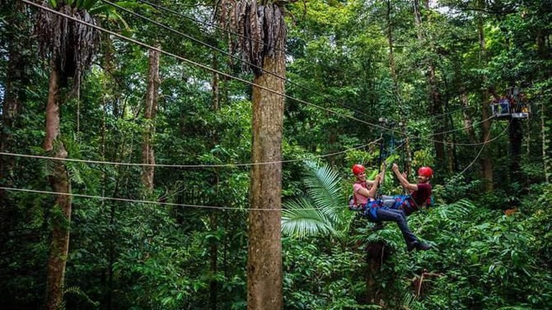 Pasutri Jatuh dari Flying Fox di Hutan Australia, 1 Orang Tewas dan 1 Luka Pasutri Jatuh dari Flying Fox di Hutan Australia, 1 Orang Tewas dan 1 Luka
