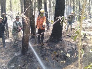 Api Kebakaran di Gunung Lompobattang Sulsel Mulai Mengecil