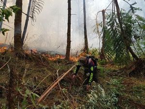 100 Ha Lahan di Gunung Ciremai Terbakar, Tersisa 1 Titik Api