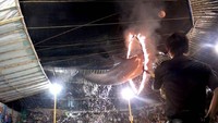 The Dolphin Project mengatakan, hotel tersebut mengklaim sudah mengantongi izin dari pihak pemerintah setempat. Praktek sirkus lumba-lumba memang kerap ditemui di Indonesia. Padahal, lumba-lumba termasuk satwa yang dilindungi. (dok. The Dolphin Project)