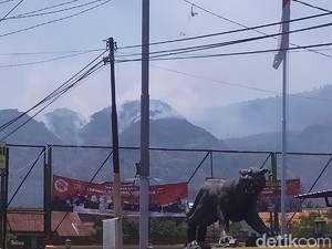 BPDB Sumedang Waspadai Kebakaran Hutan Saat Musim Kemarau