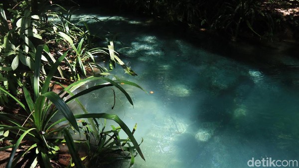 Sesuai namanya, Sungai Kali Biru memiliki warna biru sesuai namanya. Apabila berenang dan melihat dasarnya, tampak jelas betapa bersih aliran sungai tersebut dengan pasir di dasarnya. Besar kemungkinan kalau warna birunya berasal dari spektrum sinar matahari (Randy/detikcom) Sesuai namanya, Sungai Kali Biru memiliki warna biru sesuai namanya. Apabila berenang dan melihat dasarnya, tampak jelas betapa bersih aliran sungai tersebut dengan pasir di dasarnya. Besar kemungkinan kalau warna birunya berasal dari spektrum sinar matahari (Randy/detikcom)