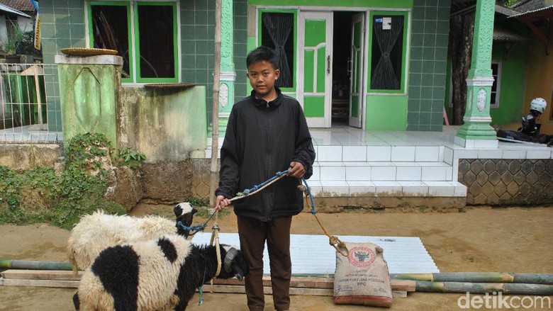 Siswa SD-SMP di Bandung Diberi Anak Ayam, di Purwakarta Dikasih Domba Siswa SD-SMP di Bandung Diberi Anak Ayam, di Purwakarta Dikasih Domba