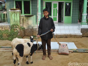Siswa SD-SMP di Bandung Diberi Anak Ayam, di Purwakarta Dikasih Domba