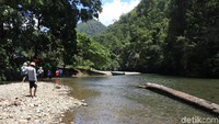 Tiba di tepi sungai, traveler pun harus kembali melanjutkan perjalanan dengan trekking ke dalam hutan selama sekitar 15 menit berjalan kaki. Sebelum menyusuri hutan, traveler akan lebih dulu disambut dengan sungai dangkal (Randy/detikcom)