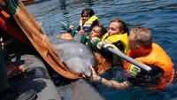 Inilah kisah penyelamatan lumba-lumba yang dilakukan The Dolphin Project. Lumba-lumba ini diselamatkan dari sebuah kolam renang sebuah hotel di Bali. (dok. The Dolphin Project)