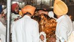Foto: Kuil Emas yang Penuh Toleransi