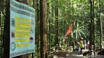 Potret Kali Biru di Raja Ampat yang Sempat Viral