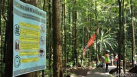 Sungai Kali Biru diketahui sangat bersih dan dijaga oleh masyarakat sekitar. Untuk menjaga kebersihannya, pengunjung yang ingin berenang ke sana pun tak diperbolehkan memakai lotion yang bisa mencemari aliran sungai. Selain itu, durasi berenang bagi tiap pengunjung juga hanya dibatasi sekitar 30 menit saja (Randy/detikcom)