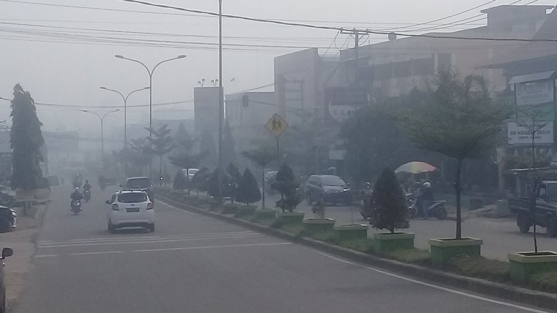 Diselimuti Kabut Asap Pekat, Udara Jambi Pagi Ini Berbahaya