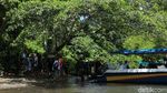 Potret Kali Biru di Raja Ampat yang Sempat Viral