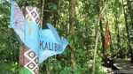 Potret Kali Biru di Raja Ampat yang Sempat Viral