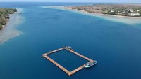 Dewa dan Johnny berhasil diselamatkan dan dibawa ke kolam penangkaran milik The Dolphin Project. Di sana mereka akan mendapat perawatan sampai siap untuk dilepas ke lautan. (dok. The Dolphin Project)