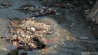 Sejumlah sampah nampak hanyut terbawa arus di aliran Kali Krukut, Depok, Jawa Barat.